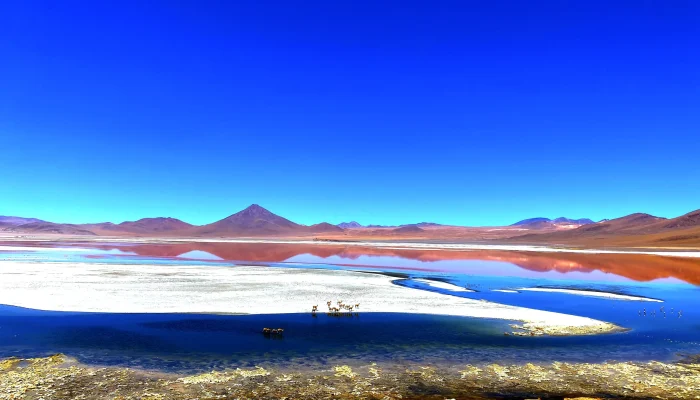 Laguna Colorada_Nomadex