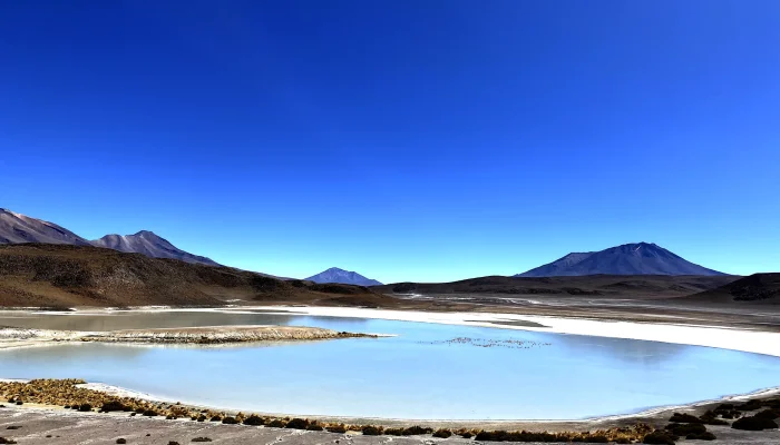 Laguna Honda_Nomadex