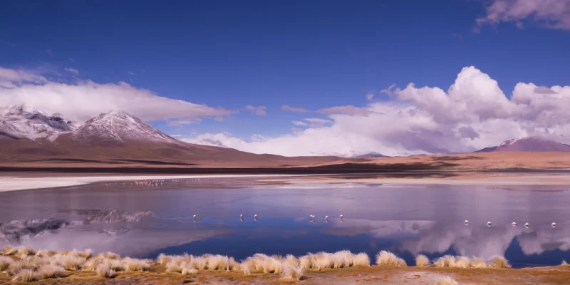 Red Lagoon, Bolivia