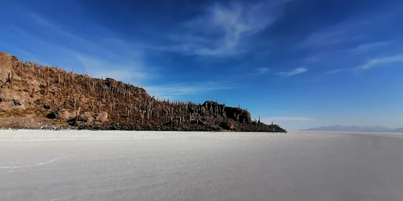 incahuasi island full day tour in uyuni