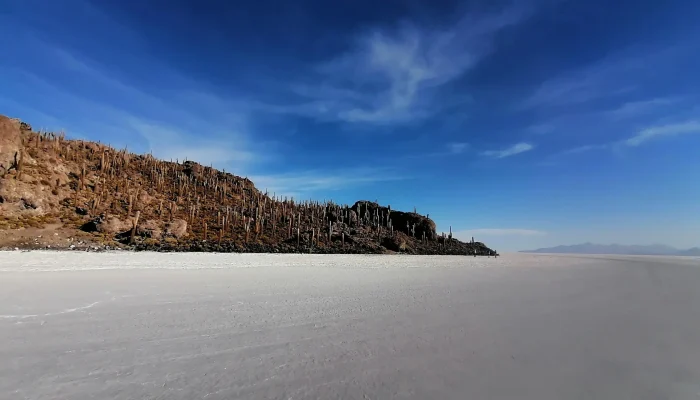 incahuasi island full day tour in uyuni