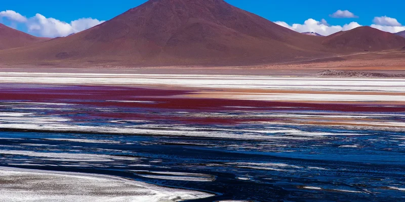 laguna-colorada_nomadex-bolivia