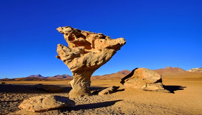 tree stone in the siloli desert