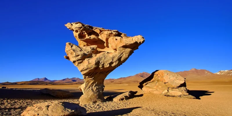 tree stone in the siloli desert