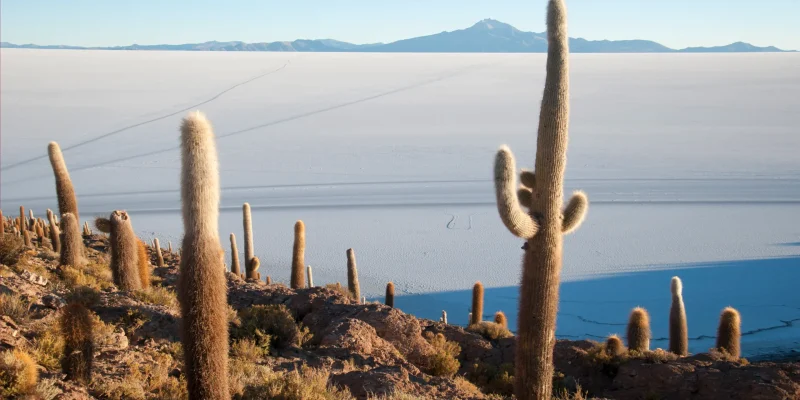 uyuni-salt-flat-desert-bolivia